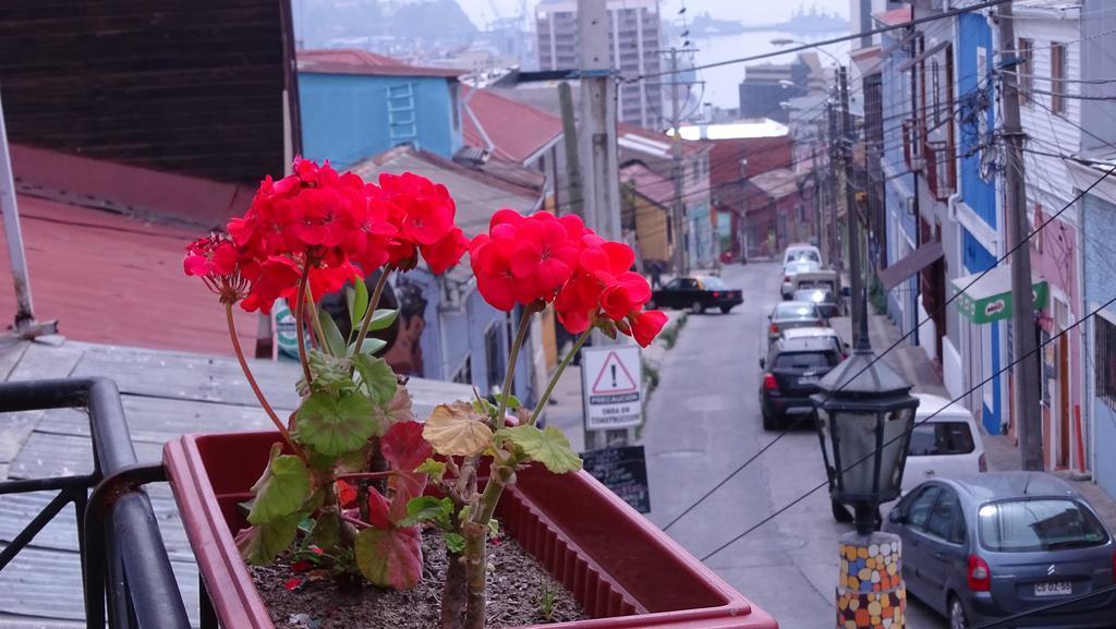 Hostal Destino Bellavista Valparaíso Dış mekan fotoğraf